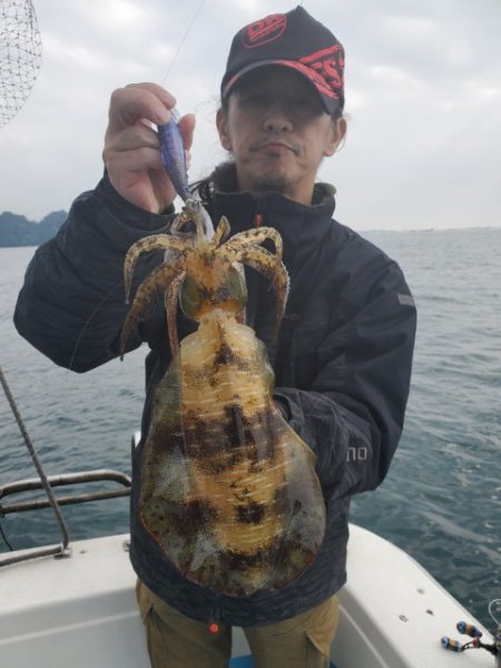 海晴丸 釣果
