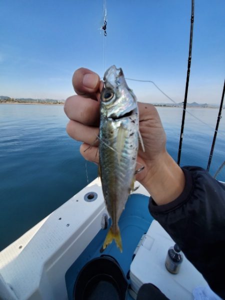 海晴丸 釣果