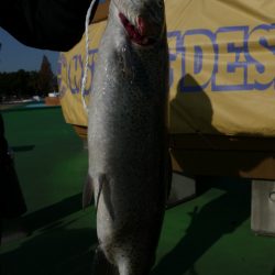 としまえんフィッシングエリア 釣果