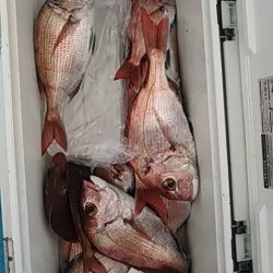 フィッシングガイド りょう 釣果