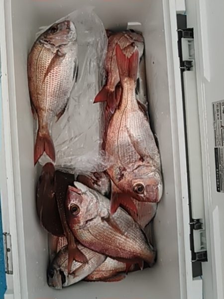 フィッシングガイド りょう 釣果