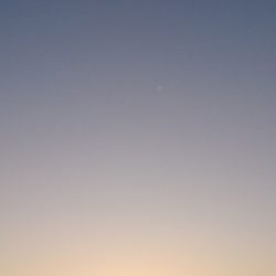 遊漁船 家入 釣果