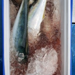 海龍丸（石川） 釣果