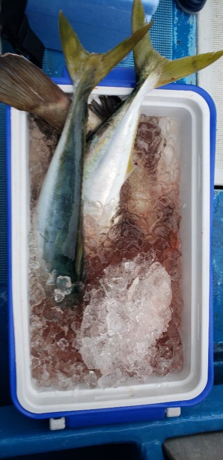 海龍丸（石川） 釣果