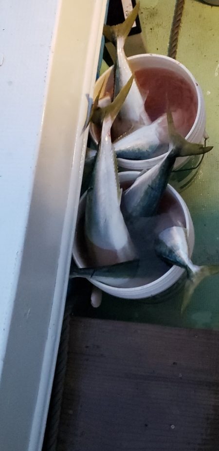 海龍丸（石川） 釣果