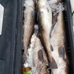 海龍丸（石川） 釣果