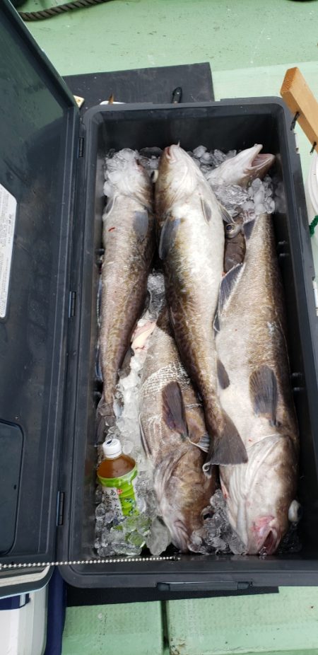 海龍丸（石川） 釣果