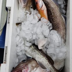 海龍丸（石川） 釣果