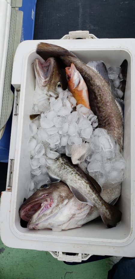 海龍丸（石川） 釣果