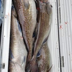 海龍丸（石川） 釣果