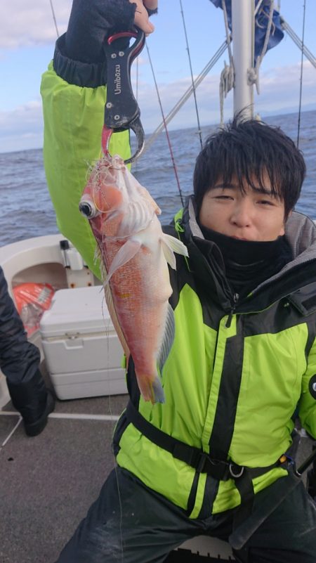 ARCADIAⅡ (アルカディアⅡ) 釣果