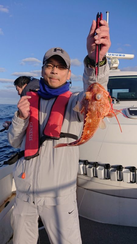 ARCADIAⅡ (アルカディアⅡ) 釣果