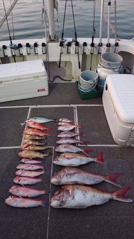 ARCADIAⅡ (アルカディアⅡ) 釣果