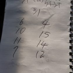 金沢八景鴨下丸 釣果