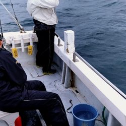 LUSTER『ラスター』 釣果