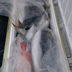 LUSTER『ラスター』 釣果