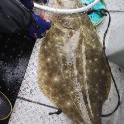 第二龍勢丸 釣果