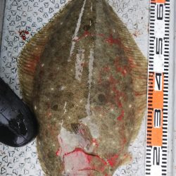 第二龍勢丸 釣果