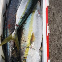 第二龍勢丸 釣果