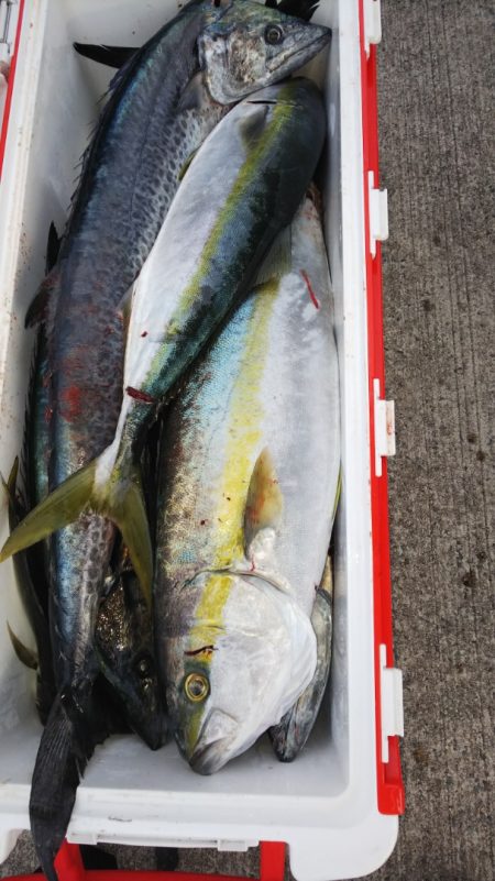 第二龍勢丸 釣果