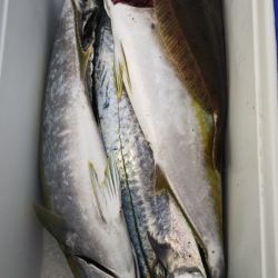 第二龍勢丸 釣果