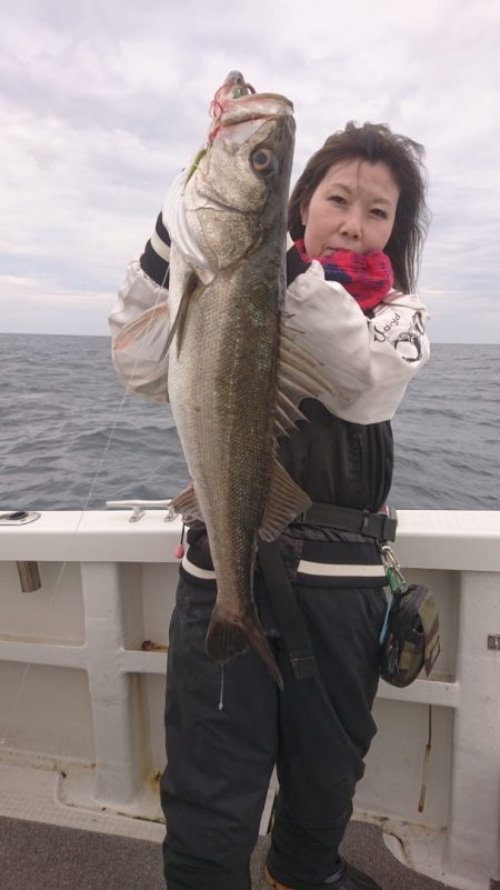 ARCADIAⅡ (アルカディアⅡ) 釣果