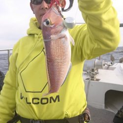 ARCADIAⅡ (アルカディアⅡ) 釣果