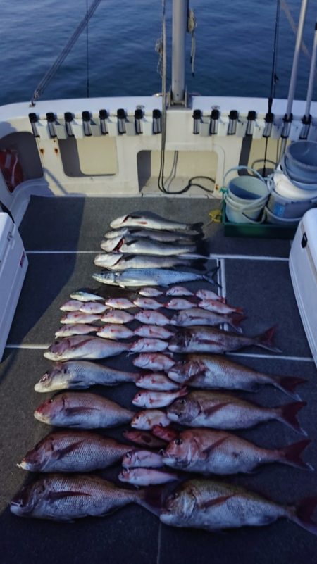 ARCADIAⅡ (アルカディアⅡ) 釣果