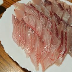美宝丸 釣果