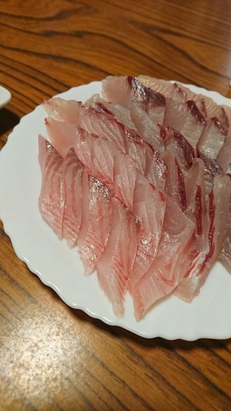 美宝丸 釣果