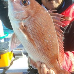 新幸丸 釣果