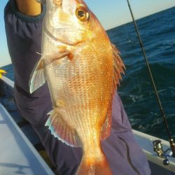 新幸丸 釣果