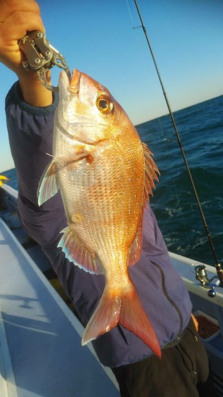 新幸丸 釣果