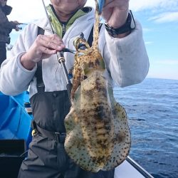 第三共栄丸 釣果