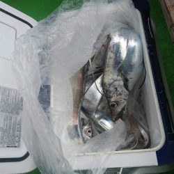 小島丸 釣果