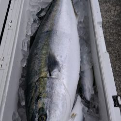 LUSTER『ラスター』 釣果