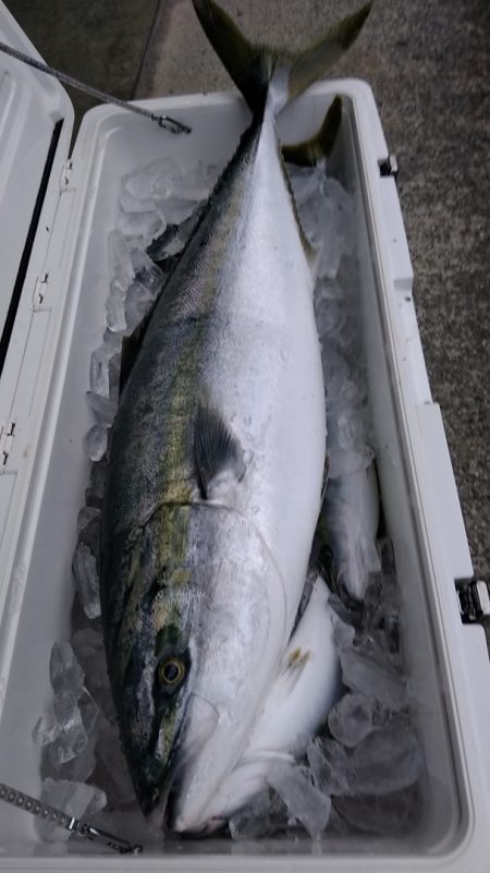 LUSTER『ラスター』 釣果