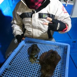 第三共栄丸 釣果