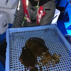 第三共栄丸 釣果