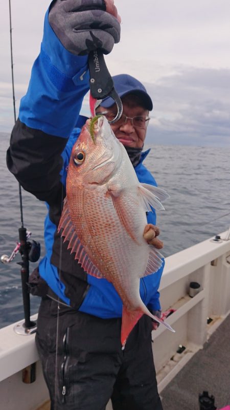 ARCADIAⅡ (アルカディアⅡ) 釣果