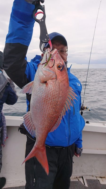 ARCADIAⅡ (アルカディアⅡ) 釣果