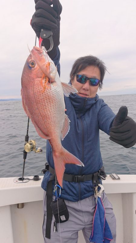 ARCADIAⅡ (アルカディアⅡ) 釣果