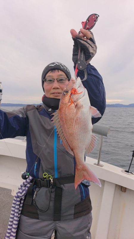 ARCADIAⅡ (アルカディアⅡ) 釣果