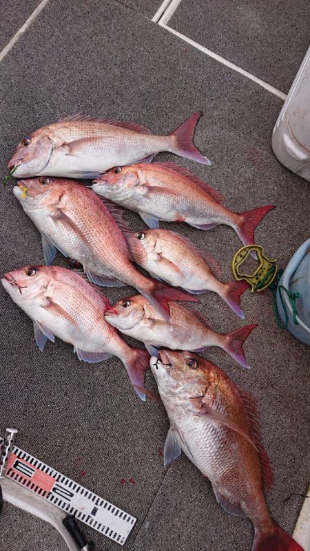 ARCADIAⅡ (アルカディアⅡ) 釣果