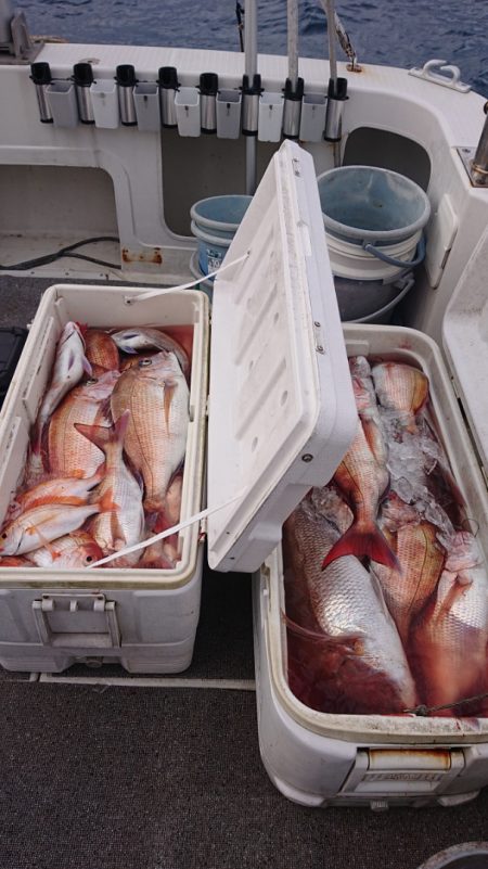 ARCADIAⅡ (アルカディアⅡ) 釣果