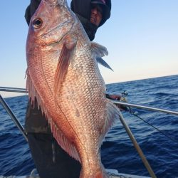 だて丸 釣果