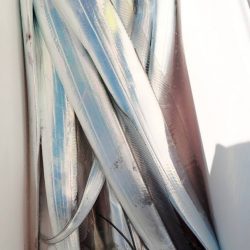 金沢八景鴨下丸 釣果