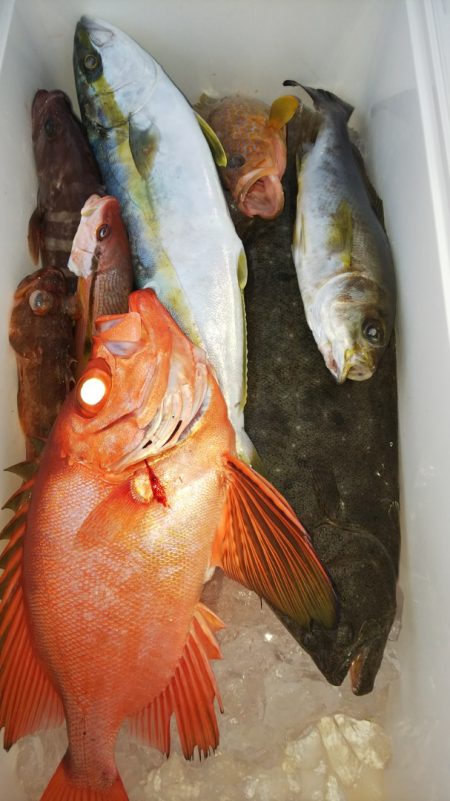 第二龍勢丸 釣果