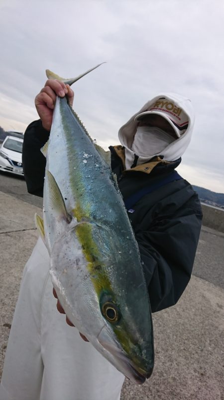 第三共栄丸 釣果