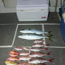 ARCADIAⅡ (アルカディアⅡ) 釣果